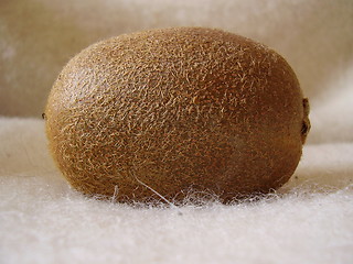 Image showing Kiwi