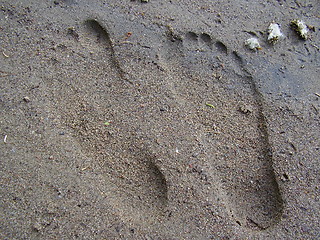 Image showing Footprints