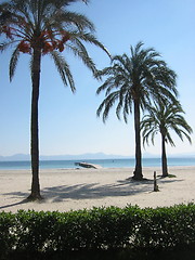 Image showing Alcudia