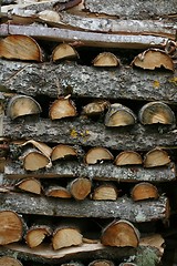 Image showing Stack of firewood