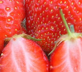 Image showing Strawberries are nice...!