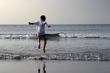 Image showing Playing in the Sea