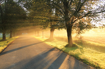 Image showing Alley in the foggy morning