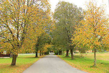 Image showing Alley in the fall.