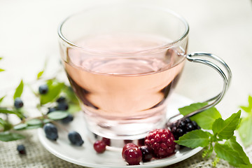 Image showing forest berry tea