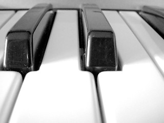 Image showing Music keyboard