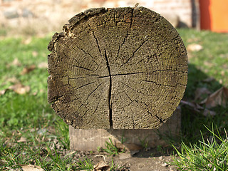 Image showing Wood picture