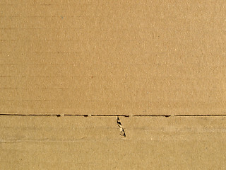 Image showing Corrugated cardboard