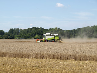 Image showing Harvest