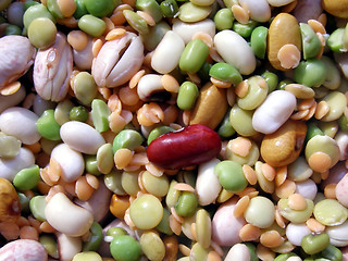 Image showing Beans salad