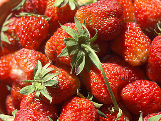 Image showing Strawberries