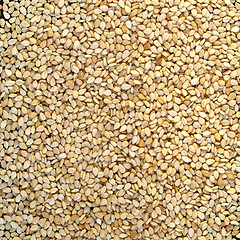 Image showing Sesame seeds