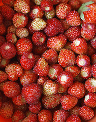 Image showing Strawberries