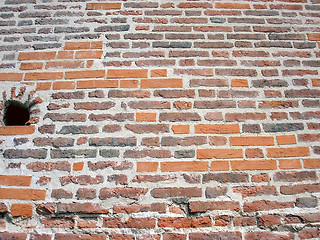 Image showing Brick wall