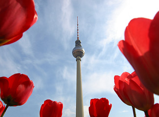 Image showing TV Tower, Berlin