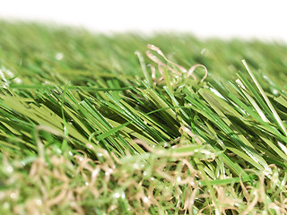 Image showing Artificial grass