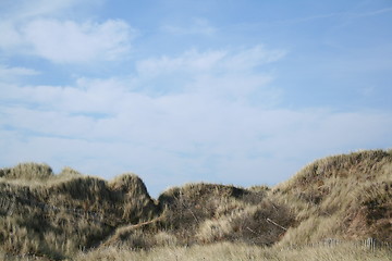 Image showing Shapes at Holy Island