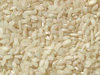 Image showing Rice picture