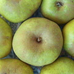 Image showing Apples picture