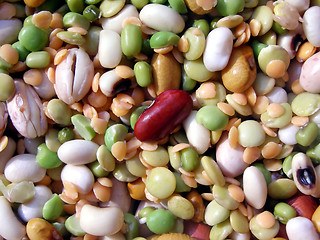 Image showing Beans salad