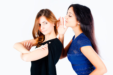Image showing Gossiping women
