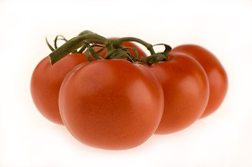 Image showing tomato1