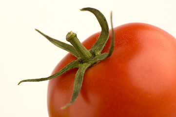 Image showing tomato4