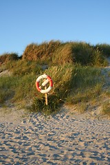 Image showing Rescue buoy at a beach