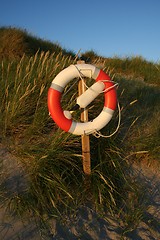 Image showing Rescue buoy at a beach