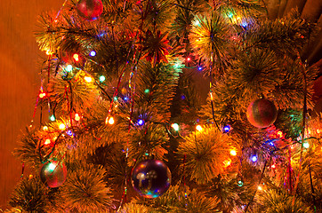 Image showing Christmas fur-tree