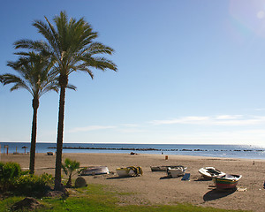 Image showing boats and palm trees