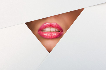 Image showing Beautiful female lips