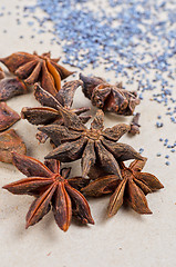 Image showing Anise stars