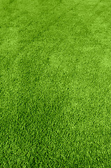 Image showing green grass texture