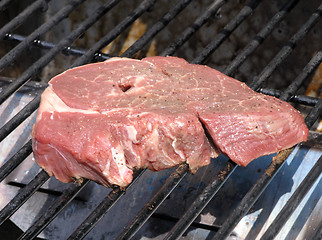 Image showing Raw Meat