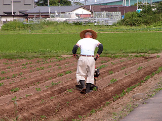Image showing Japanese farmer