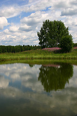 Image showing reflections