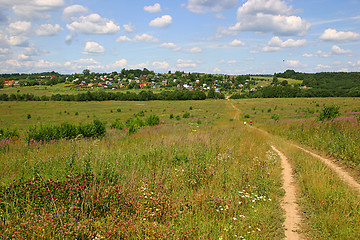 Image showing path among meadow