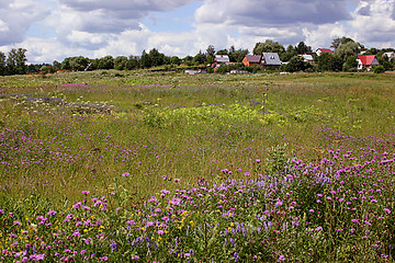 Image showing behind a village fence