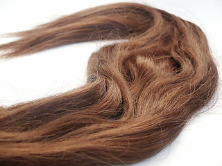 Image showing Hair
