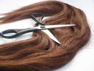 Image showing Hair and scissors