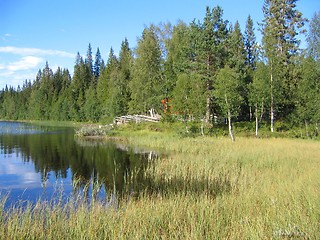 Image showing Tarn in the forest