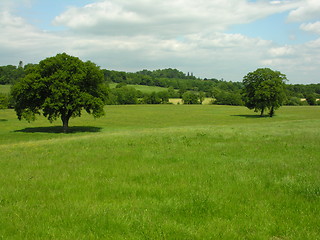 Image showing Farmers Field