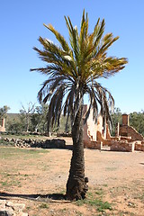 Image showing australian outback