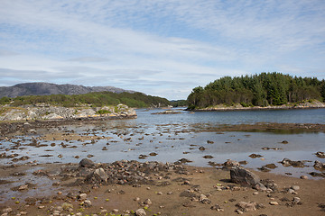 Image showing Shoreline