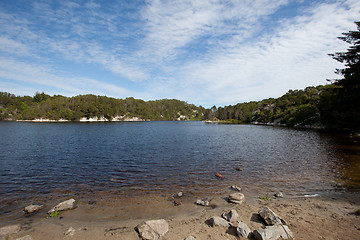 Image showing Shoreline