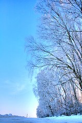 Image showing winter landscape