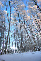 Image showing winter landscape