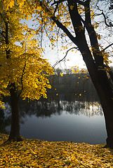 Image showing Calm autumn