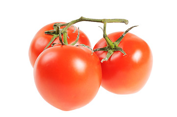 Image showing Bunch of tomatoes